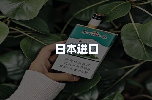 越南香烟系列